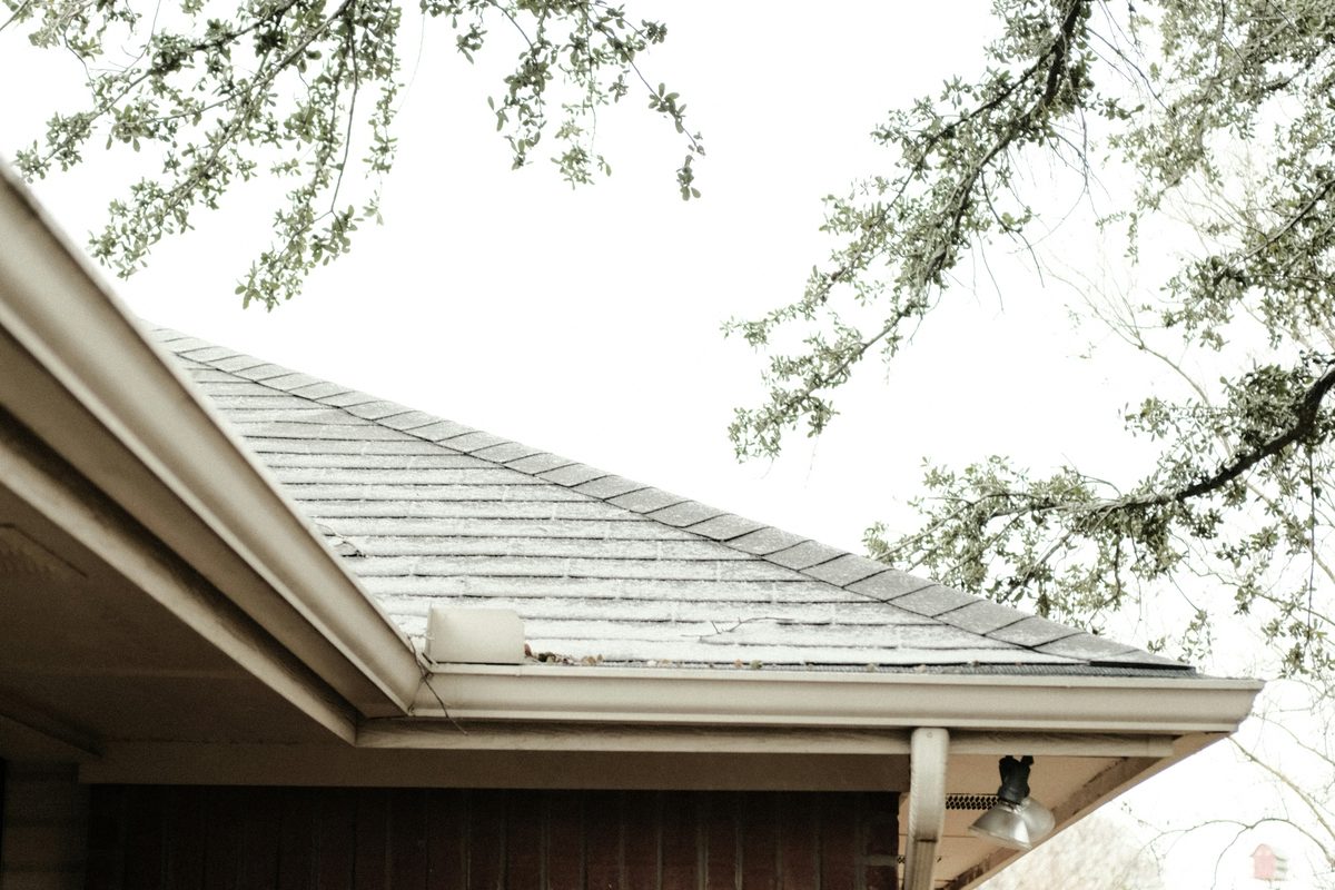Frost on roof shingles with a tree branch hanging directly over the gutter line