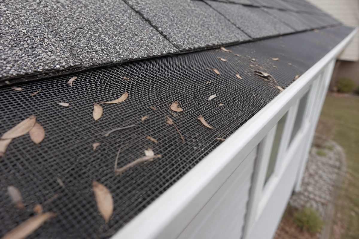 Mesh gutter guard with seed and leaf debris resting on its surface